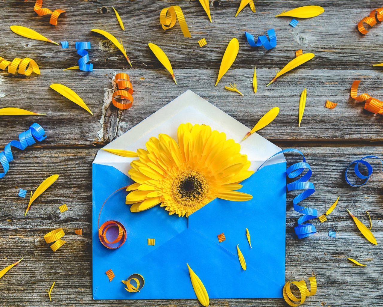Синий конверт с желтым цветком гербер 