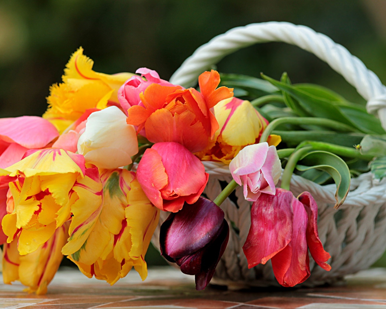 Букет красивых разноцветных тюльпанов в корзине 