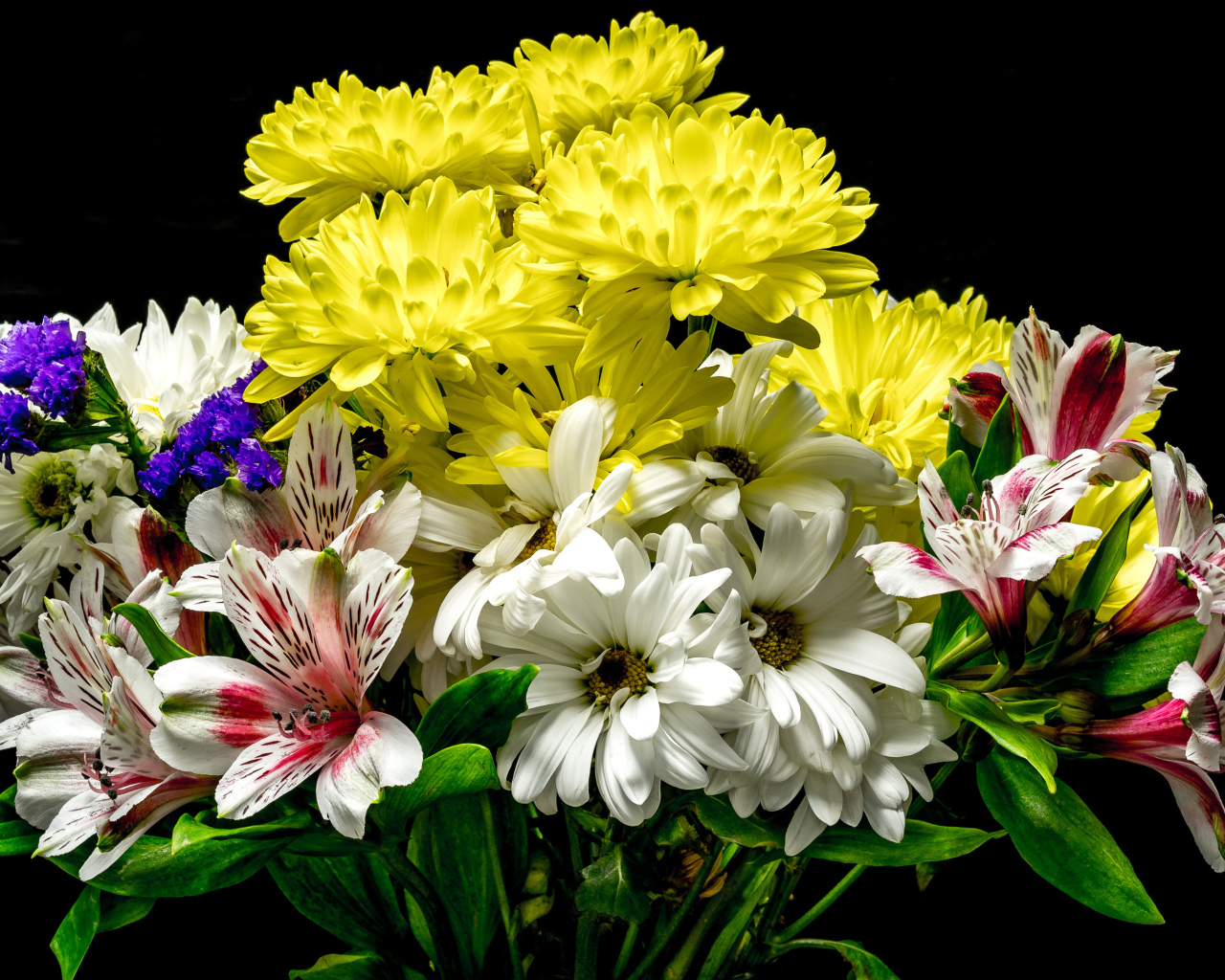 Букет из цветов хризантемы и альстромерии на черном фоне