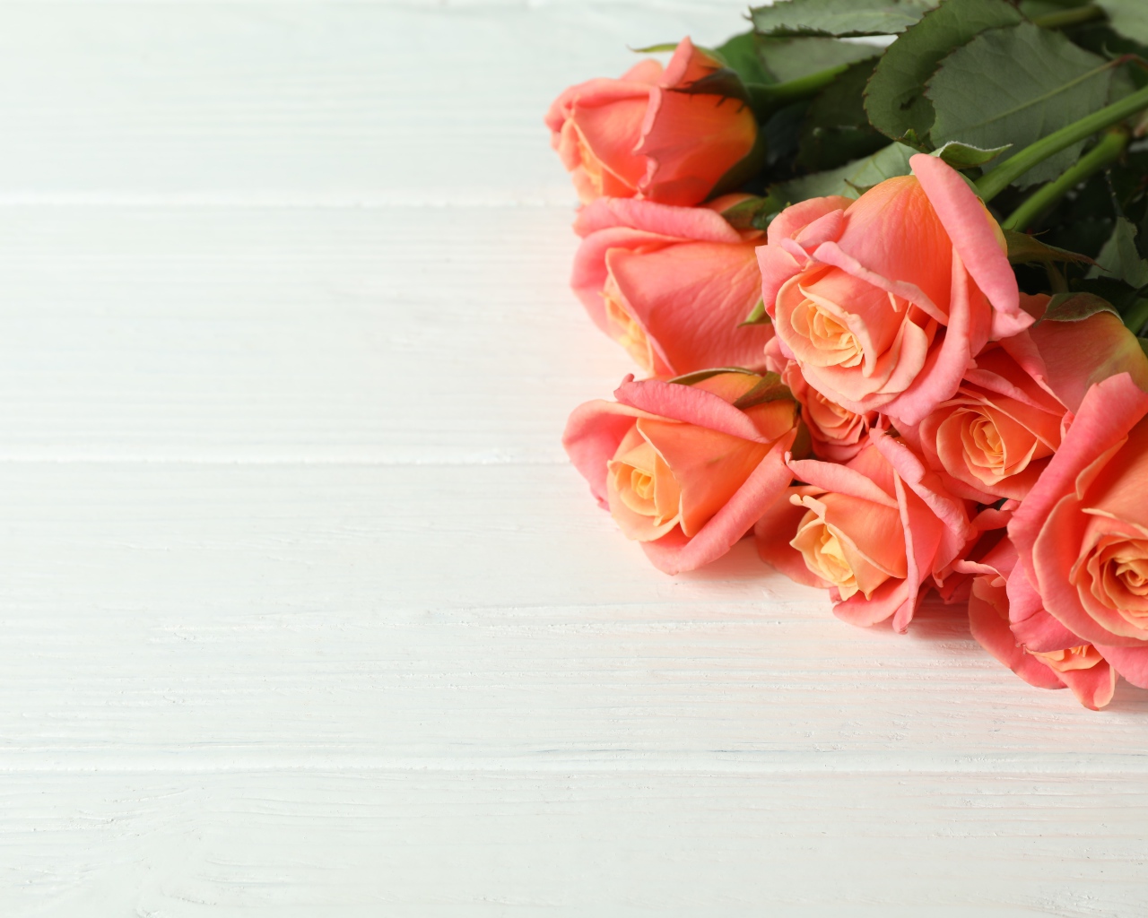 Букет нежных розовых роз на белом фоне