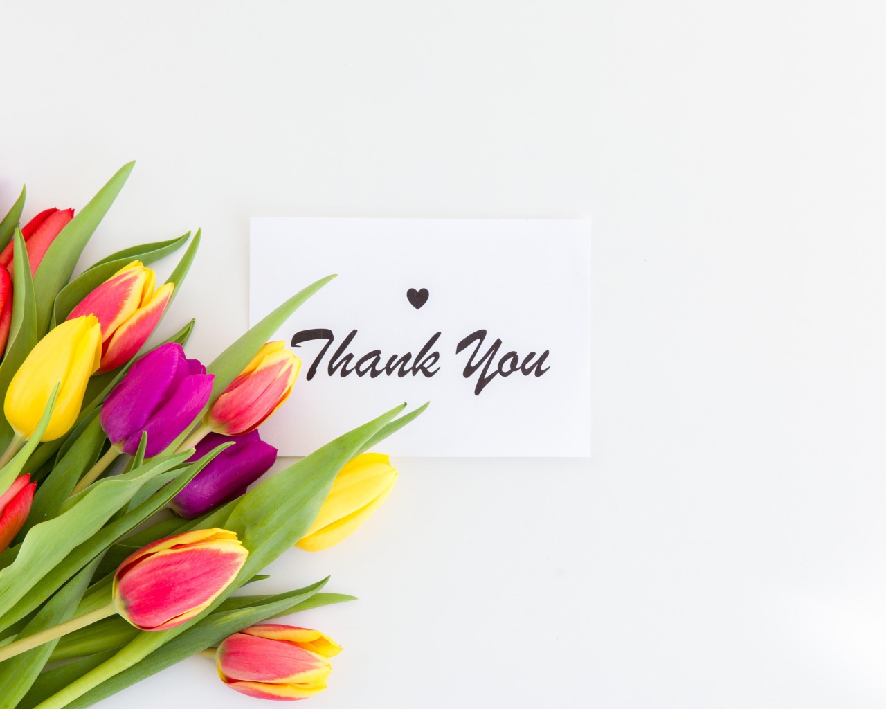Букет разноцветных тюльпанов и надпись спасибо на белом фоне