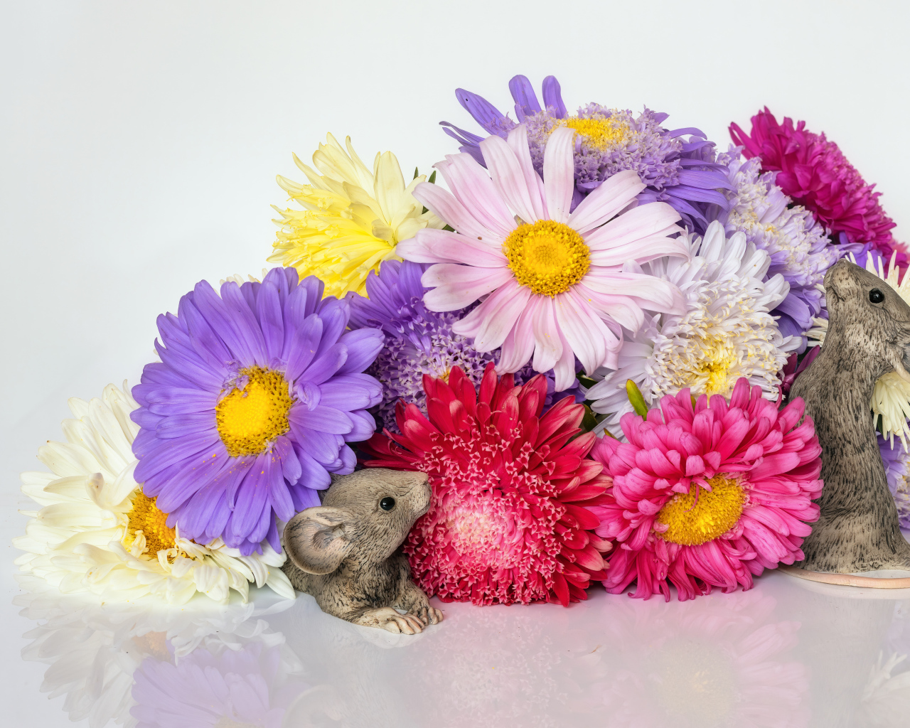 Букет разноцветных цветов астры с фигурками мышей