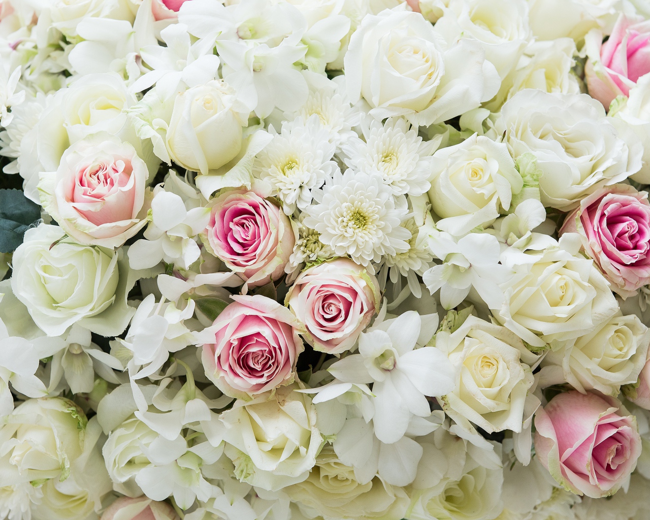 Букет розовых и белых роз с цветами хризантемы