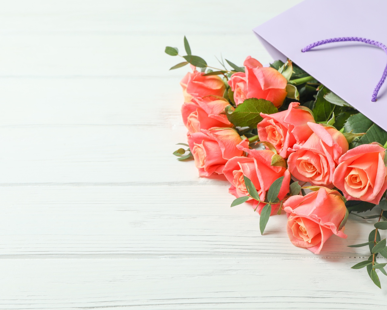 Букет розовых роз в подарочном пакете на белом фоне