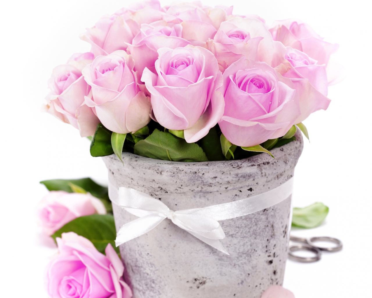 Bouquet of pink roses in a vase with a white ribbon