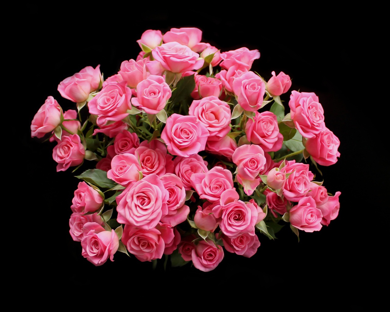 Букет розовых роз на черном фоне