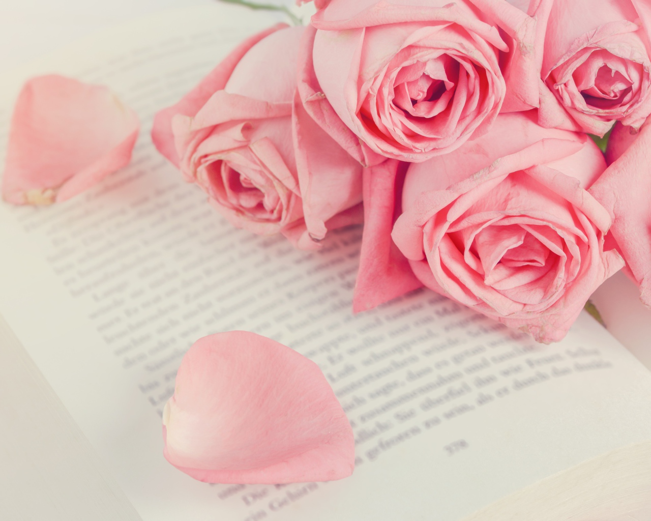 Букет розовых роз на книге