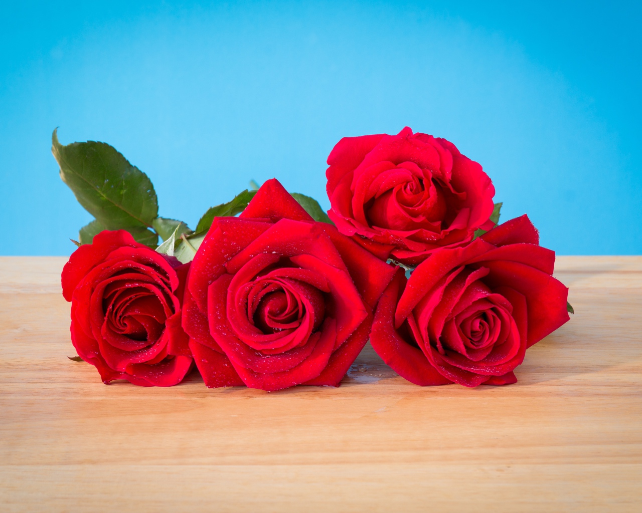 Букет красных роз на голубом фоне 