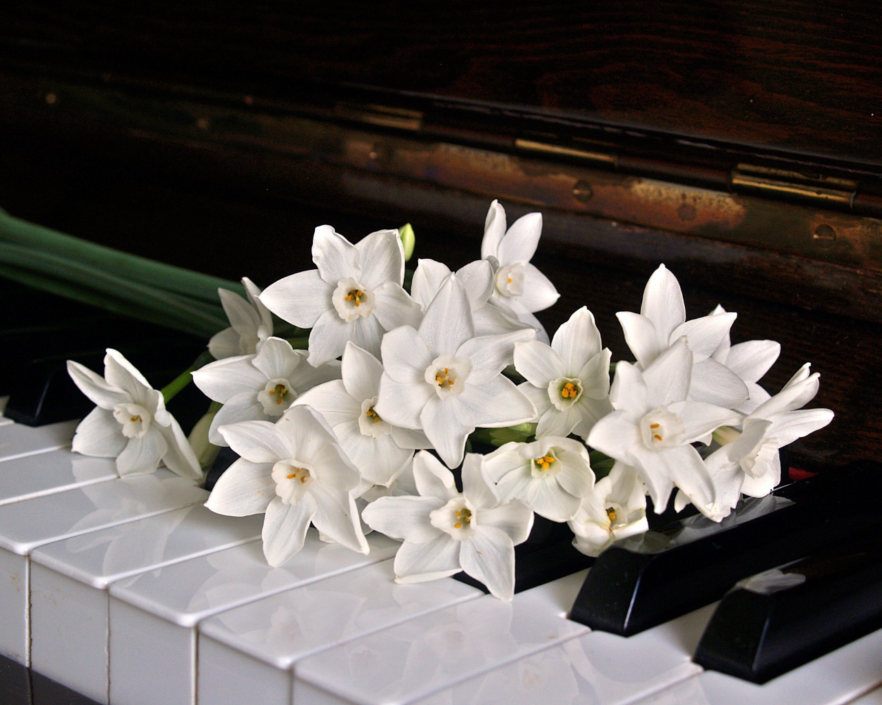 Букет белых нарциссов на кнопках пианино 
