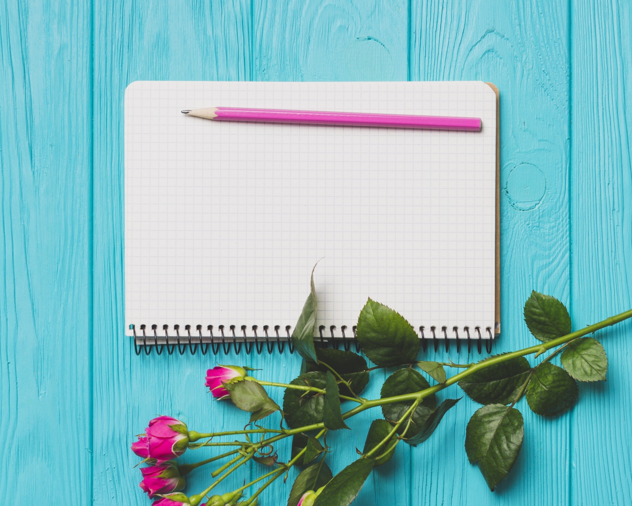Ветка с розами на голубом фоне с блокнотом и карандашом