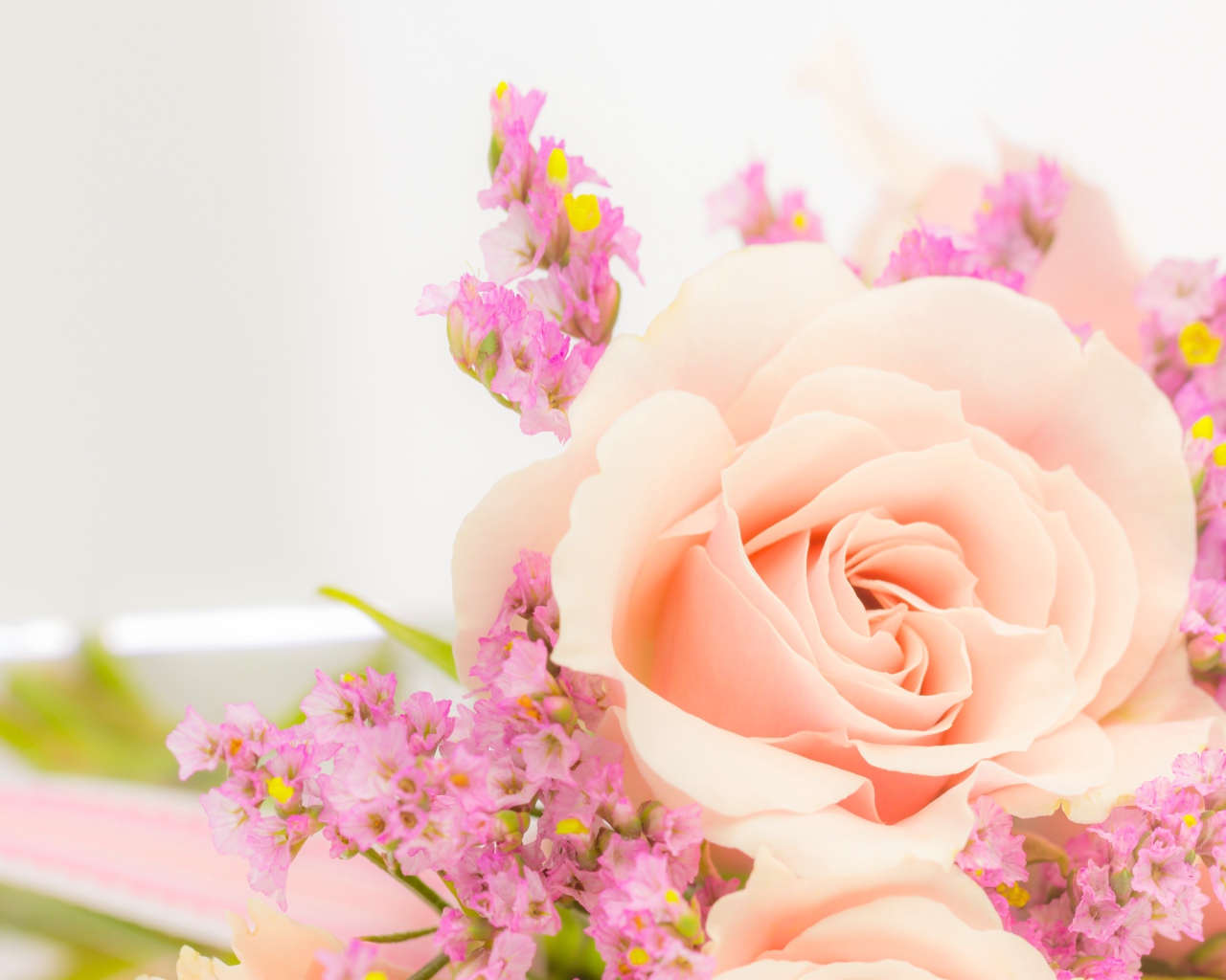 Кремовая роза с розовыми цветами на белом фоне