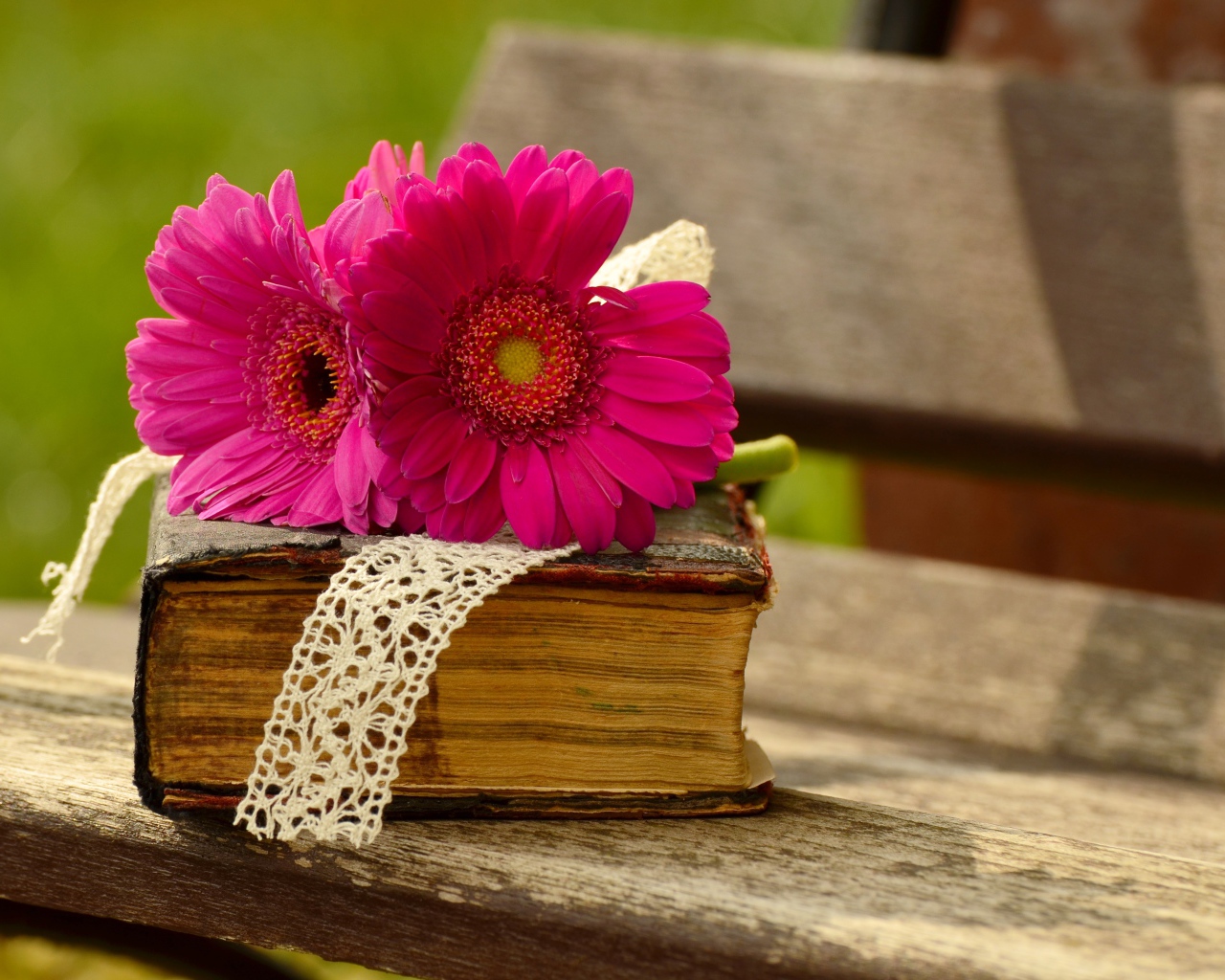 Цветы герберы со старой книгой на лавочке