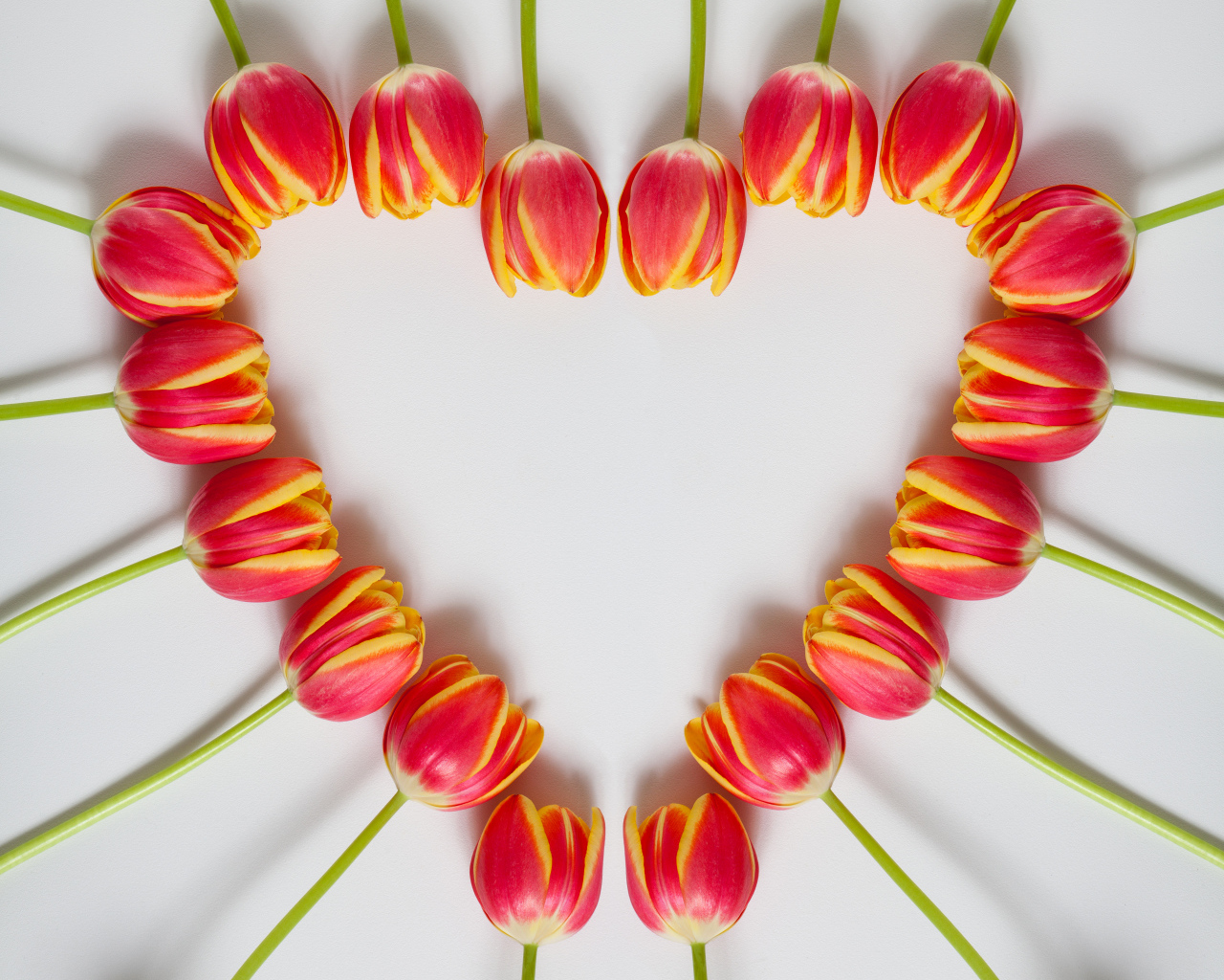 Сердце из красных тюльпанов на сером фоне