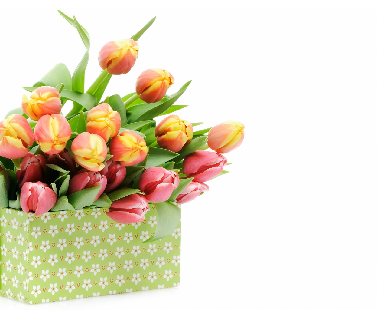 Большая коробка с разноцветными тюльпанами