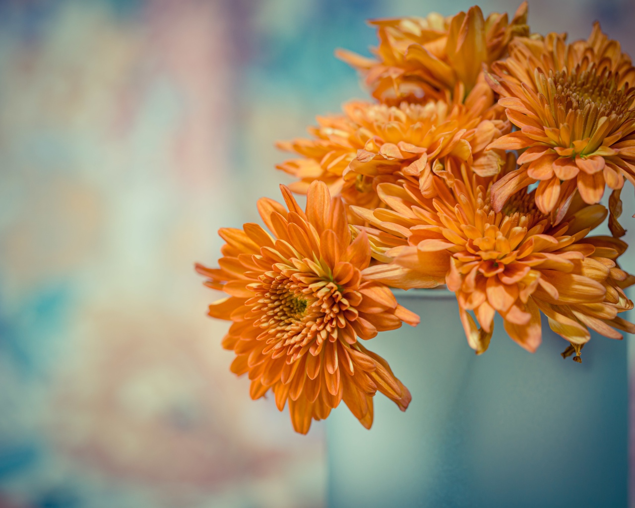 Оранжевые цветы хризантемы в вазе 