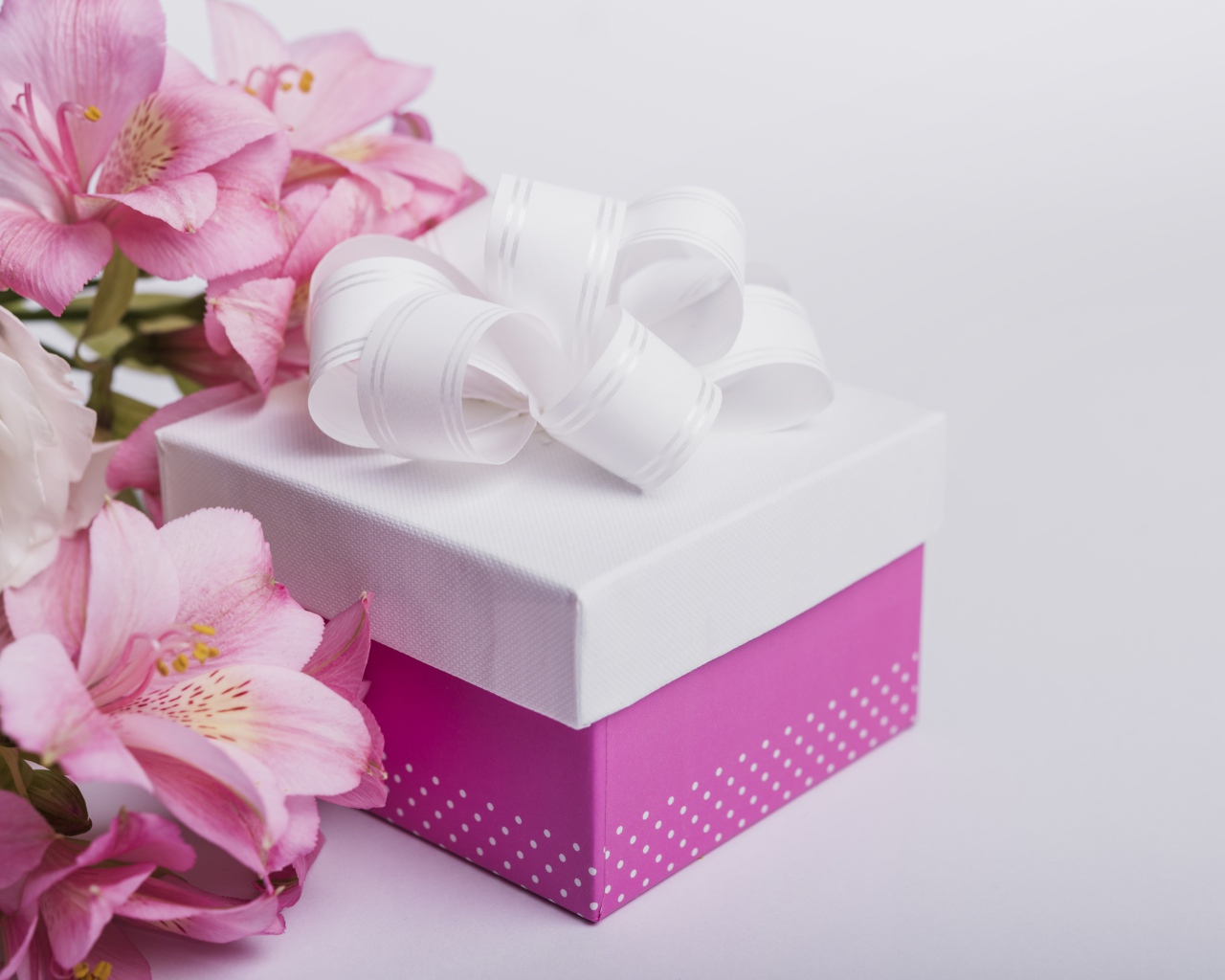 Розовые цветы альстромерии на сером фоне с подарком 