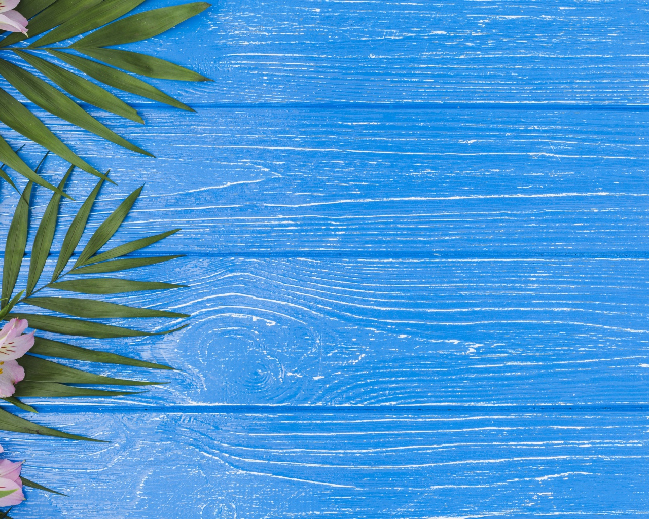 Розовые цветы альстромерии с зелеными листьями на голубом столе 