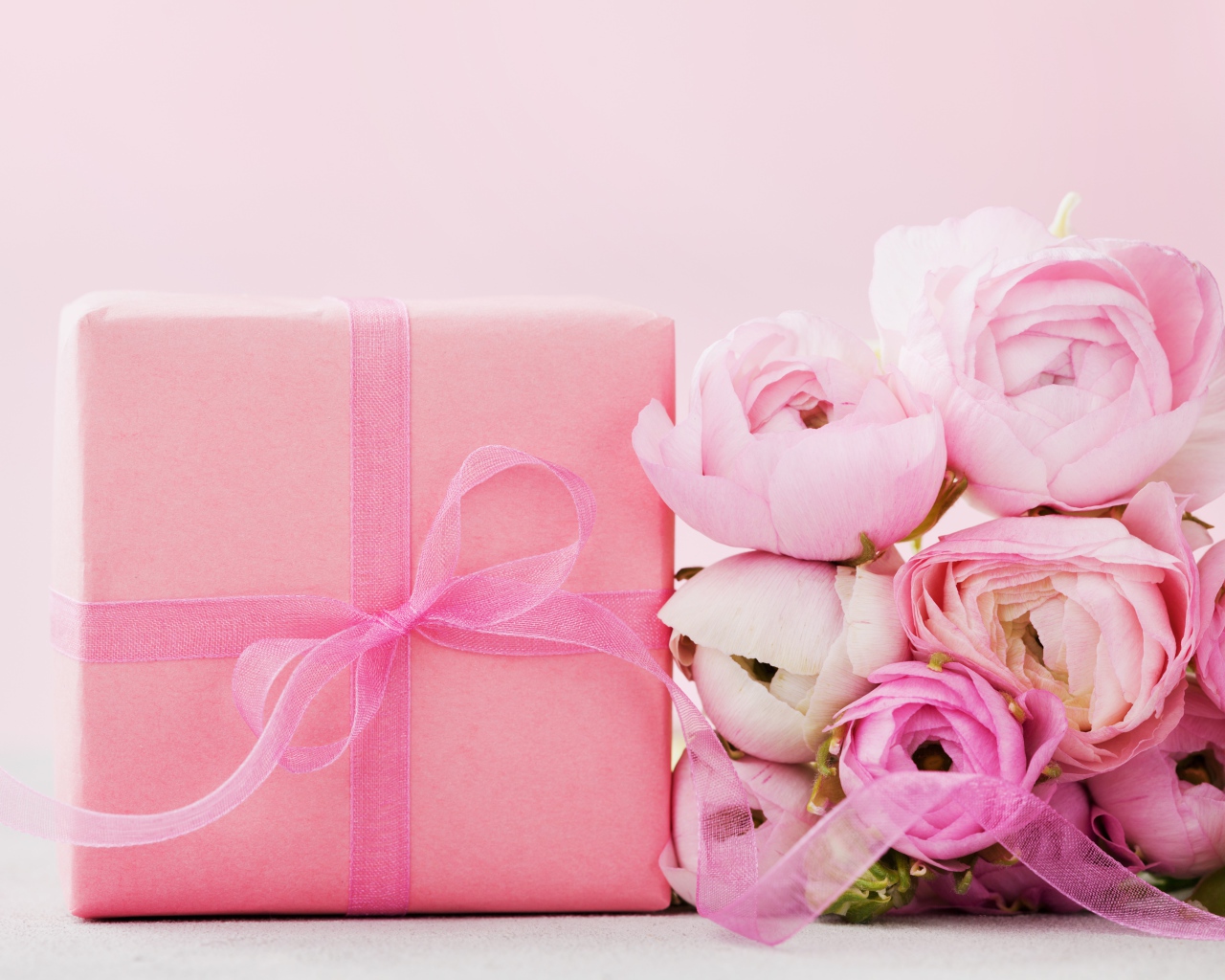 Розовые лютики с подарком на розовом фоне 