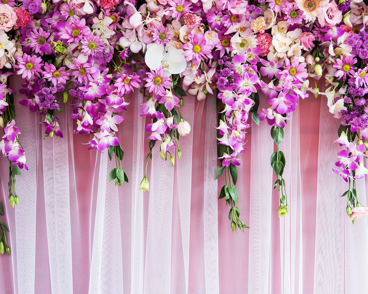 Розовые  живые цветы висят на стене 