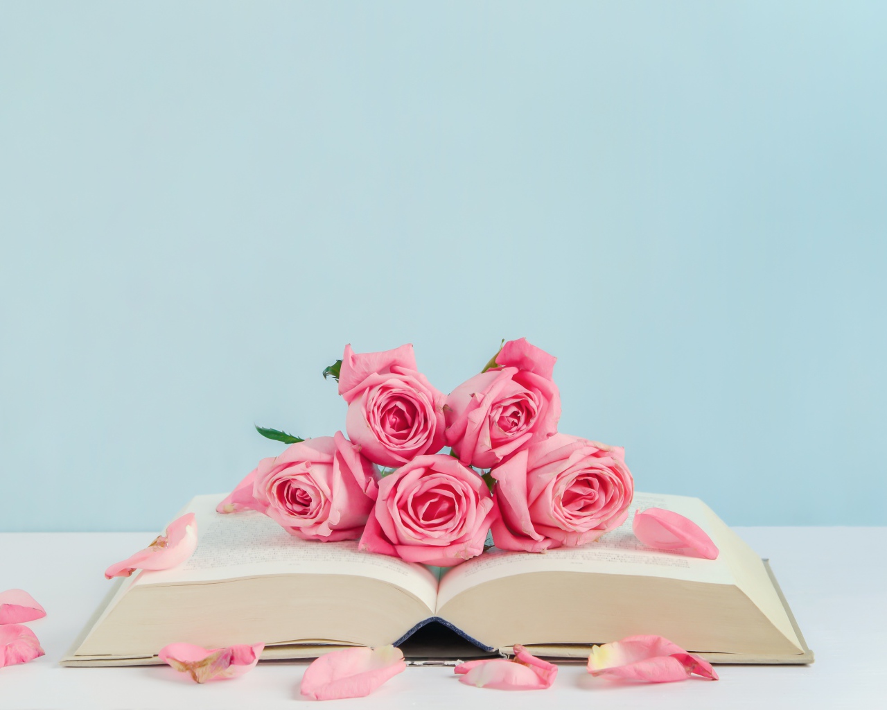 Розовые цветы розы с книгой на голубом фоне