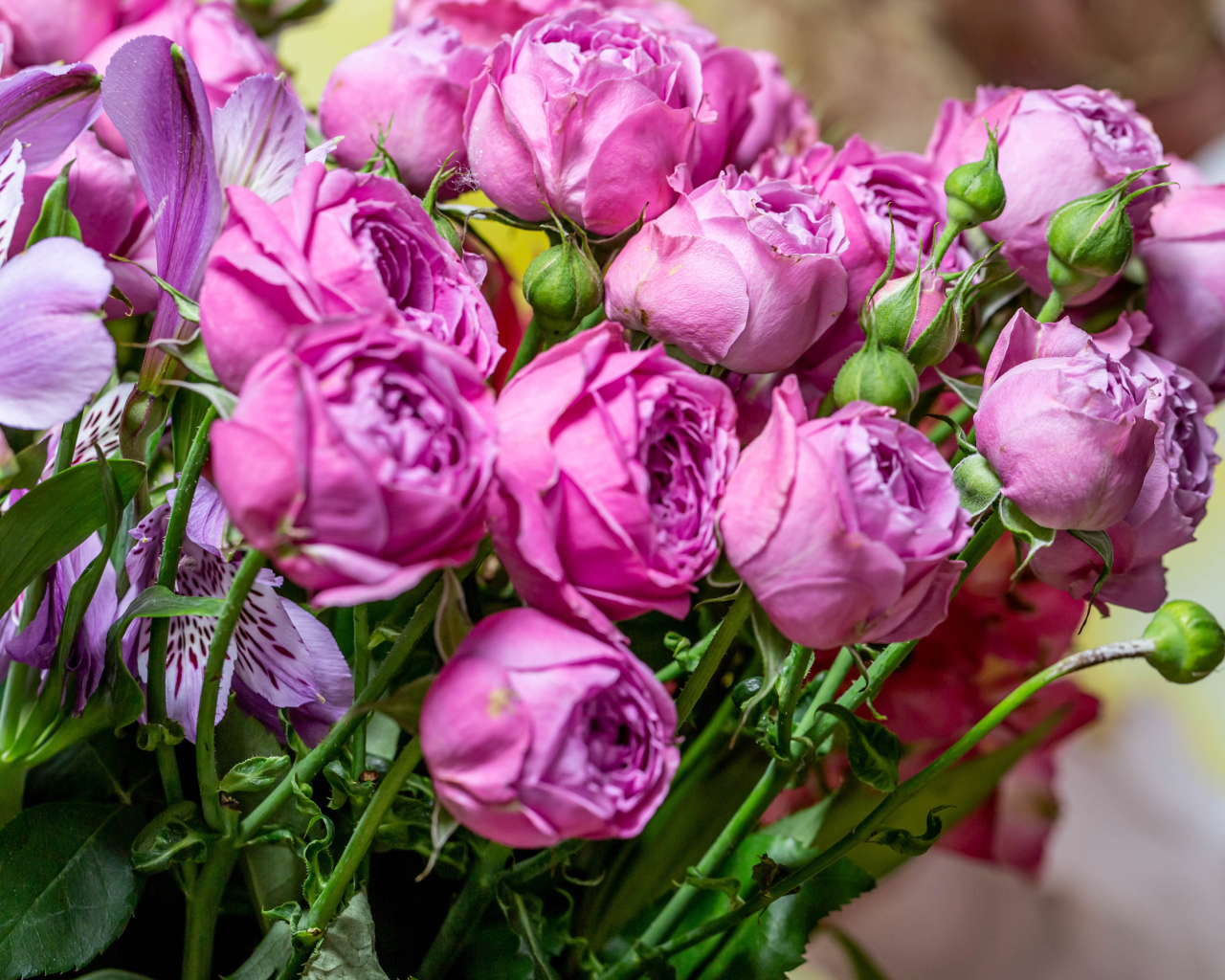 Розовые розы с бутонами в букете с цветами альстромерии