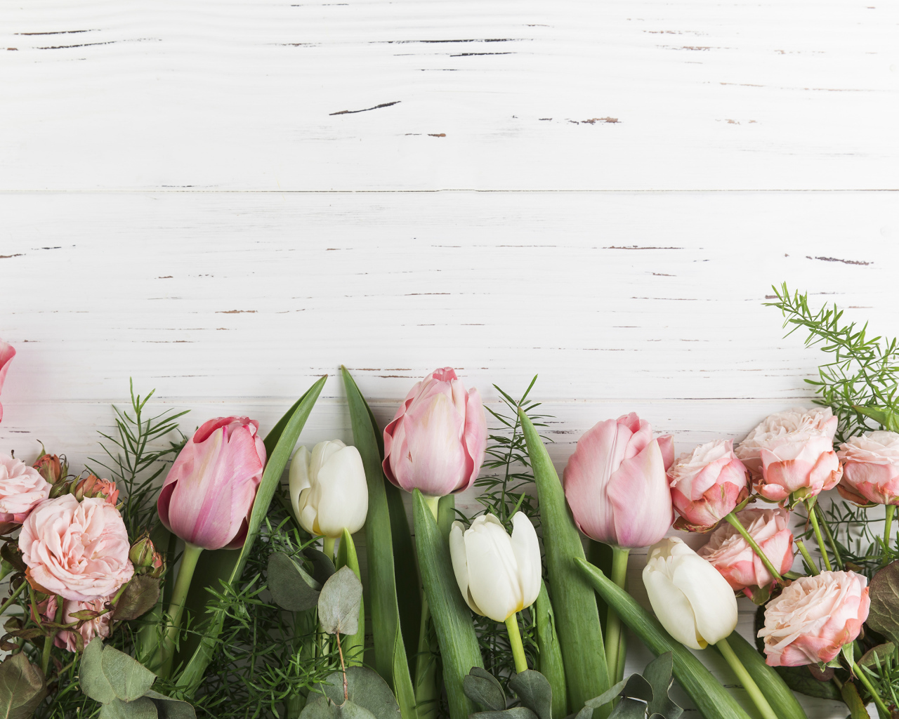 Розовые тюльпаны и розы на белом фоне