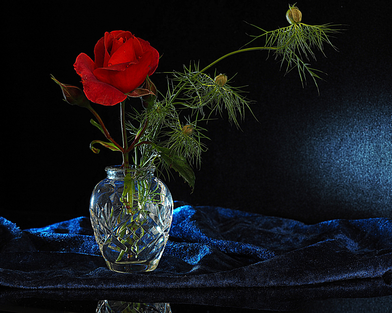 Красная роза с бутонами в стеклянной вазе на черном фоне