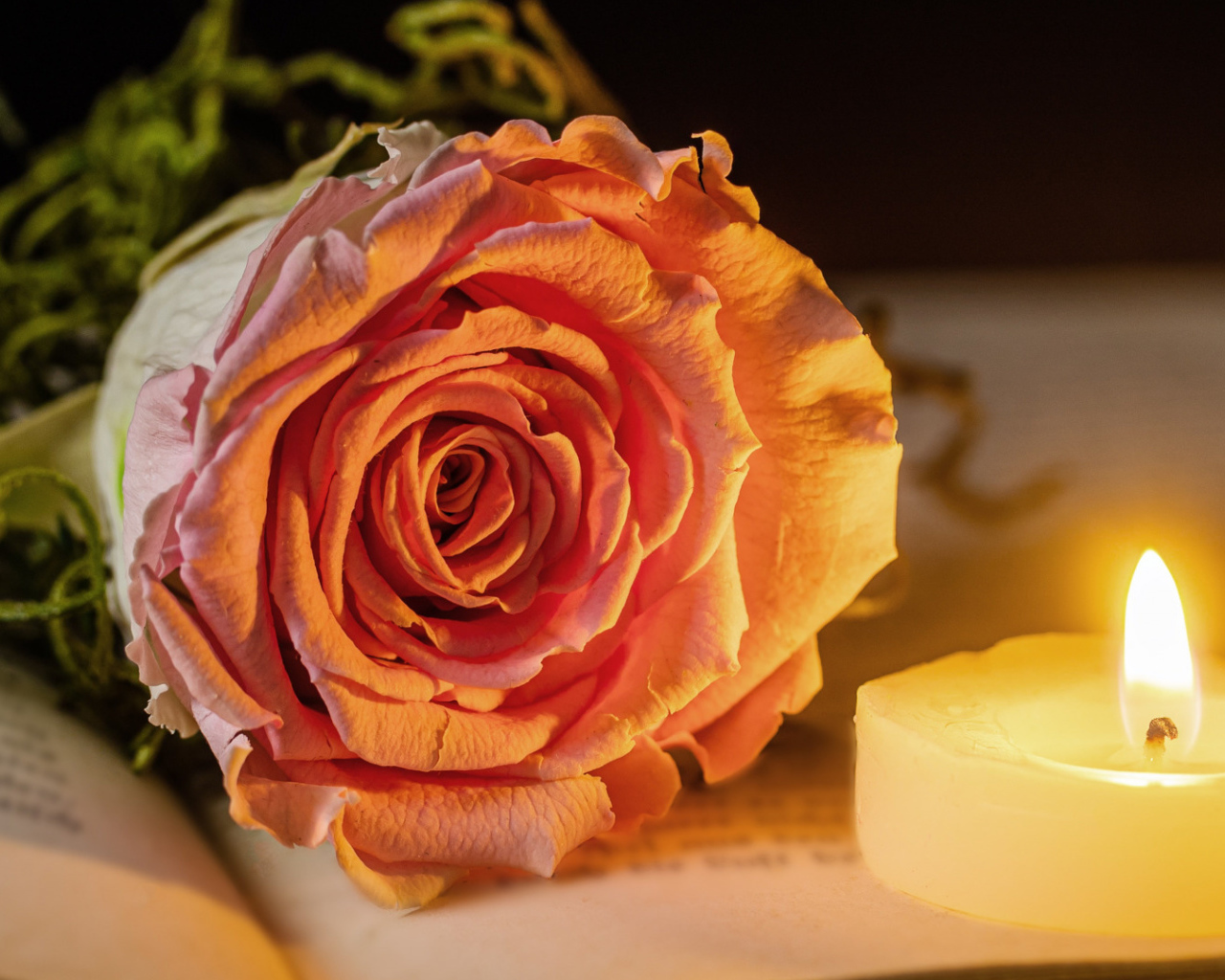 Нежная розовая роза с зажженной свечей лежат на книге