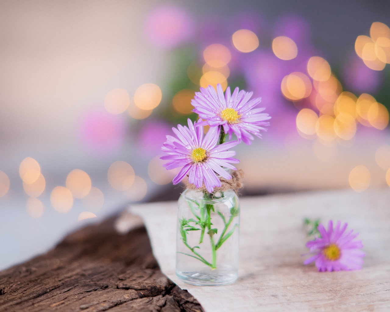 Три розовых цветка сентябринки в стеклянной баночке