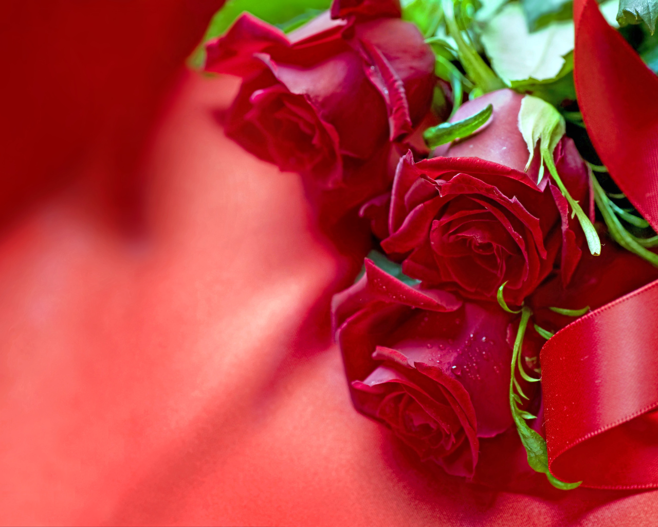 Три красные розы с атласной лентой на красной ткани