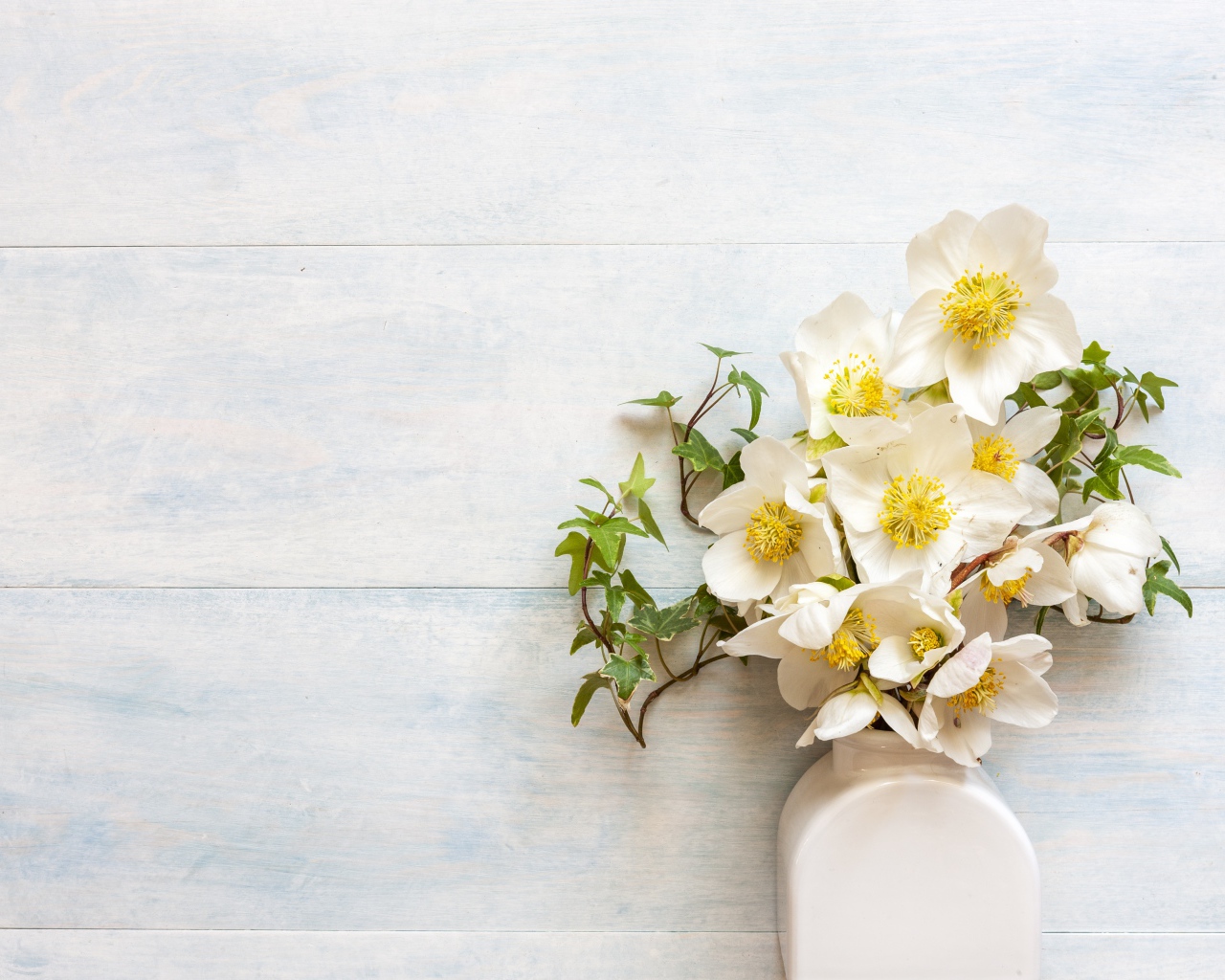 Белые цветы морозника в вазе у стены