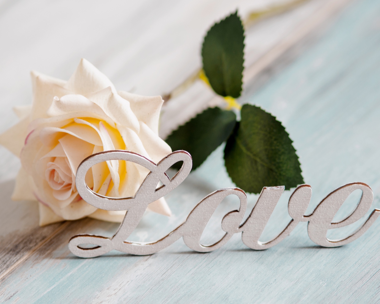 Белая надпись любовь на английском с белой розой