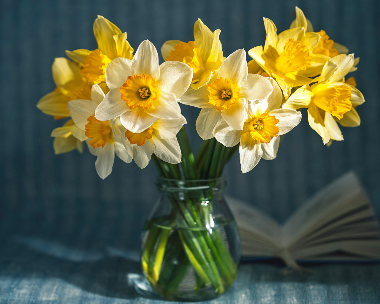 Желтые и белые нарциссы в стеклянной банке на столе 
