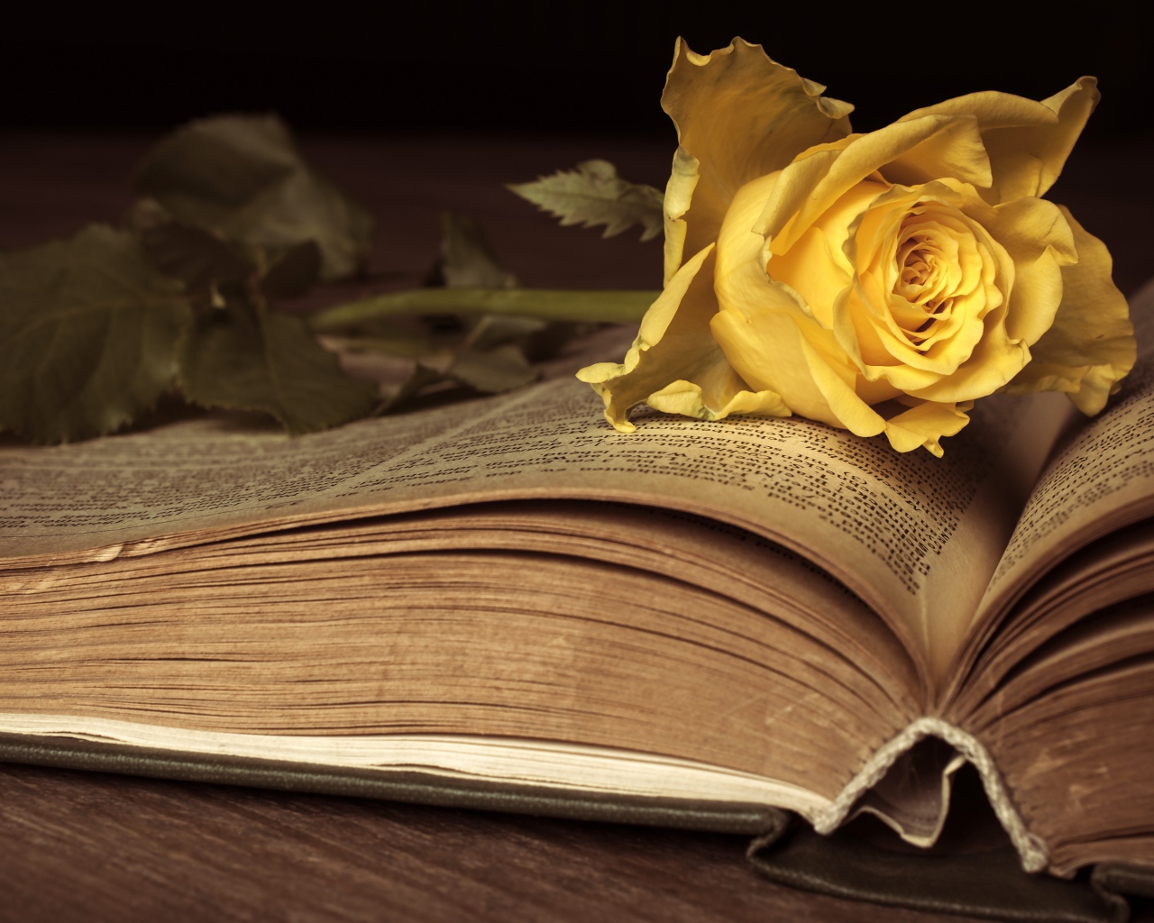 Желтая книга лежит на старой книге 