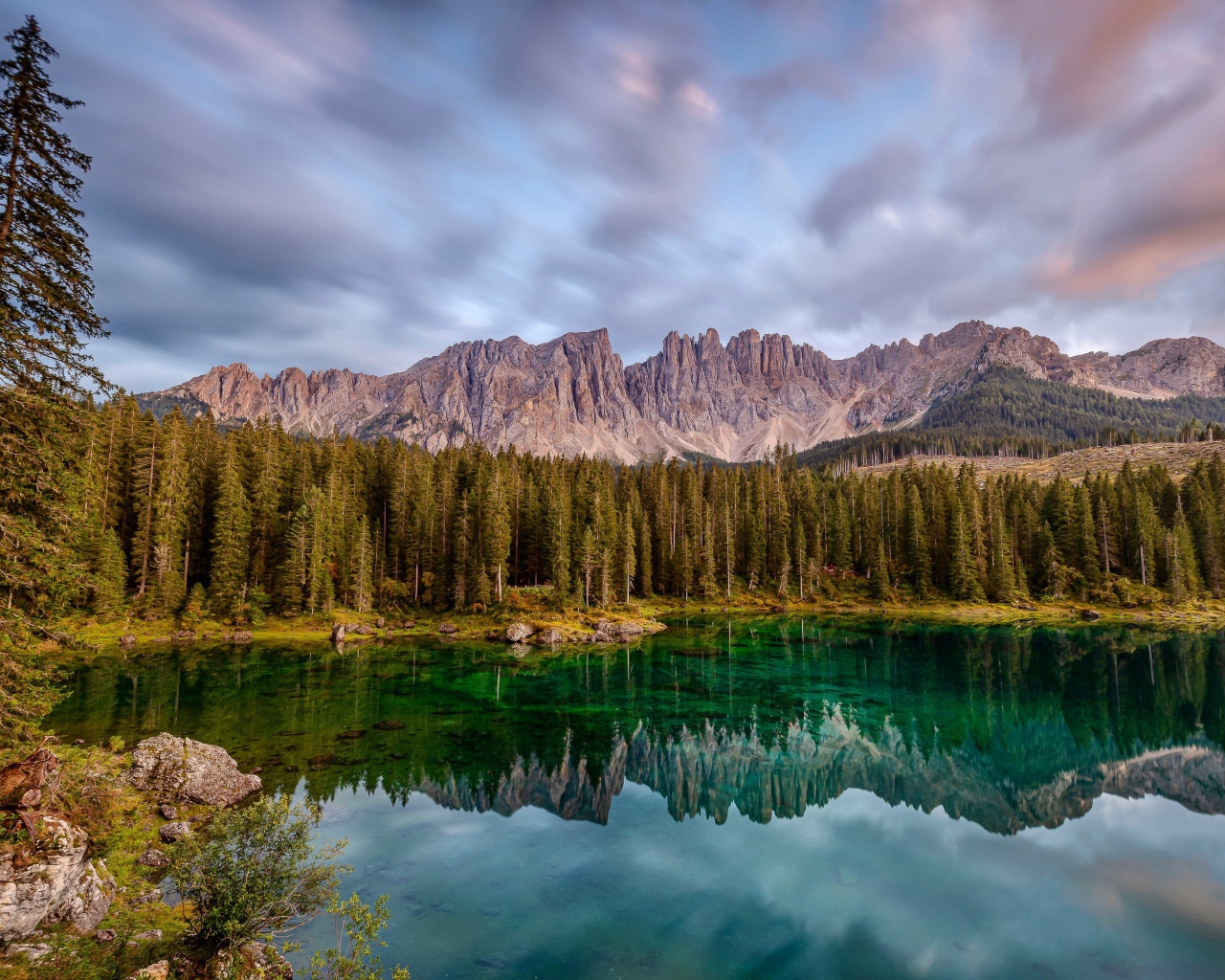 Красивый лесной пейзаж у озера 