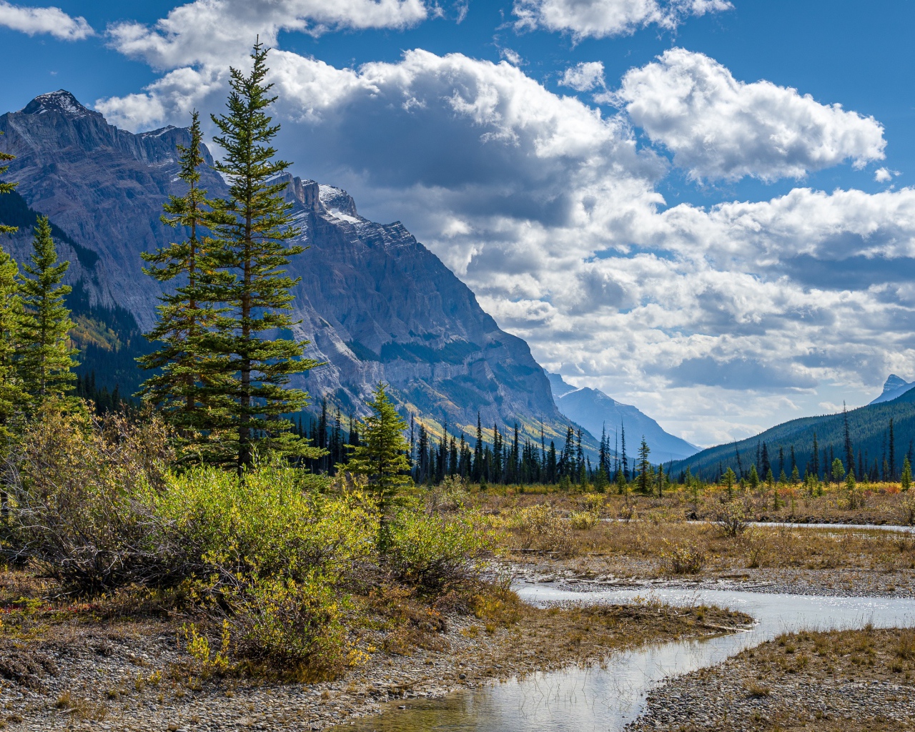 Красивый горный пейзаж под густыми белыми облаками в голубом небе