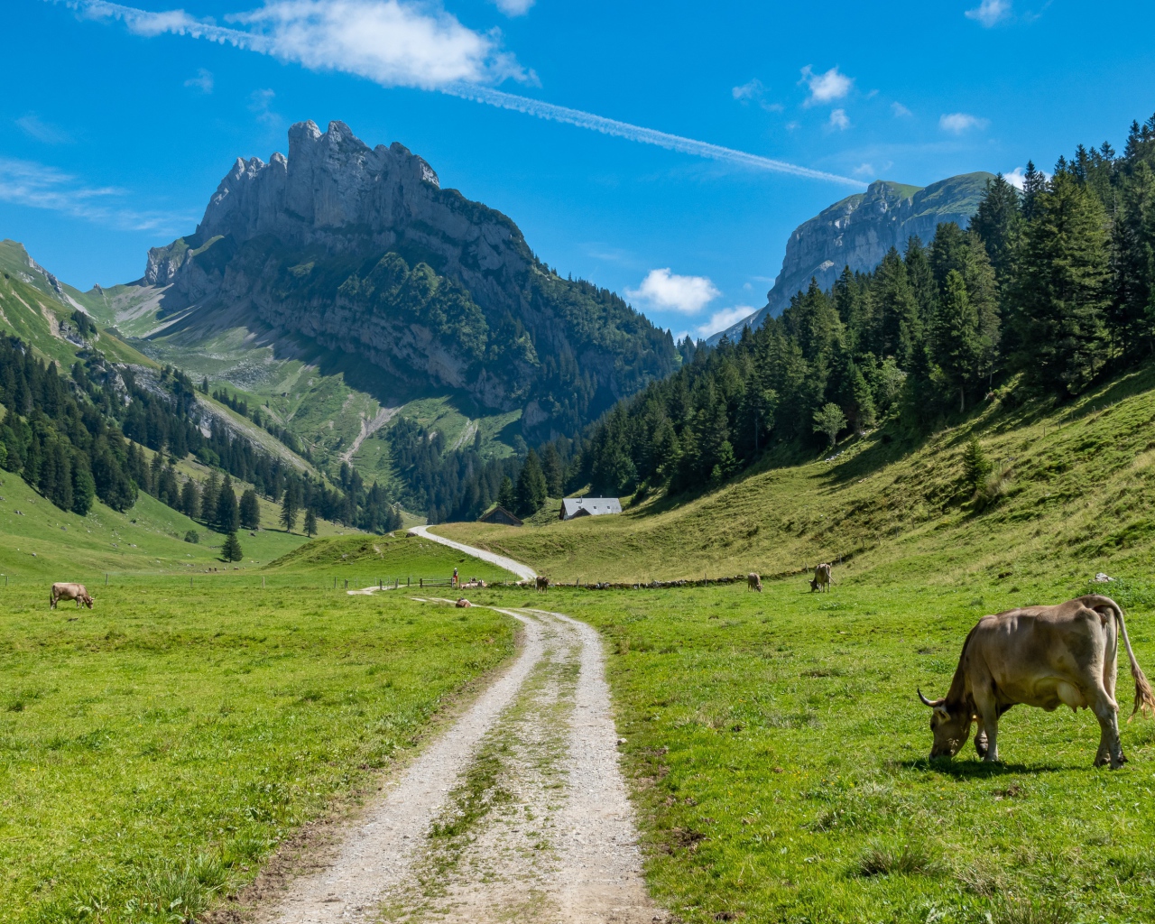 Красивый вид на гору под голубым небом летом 