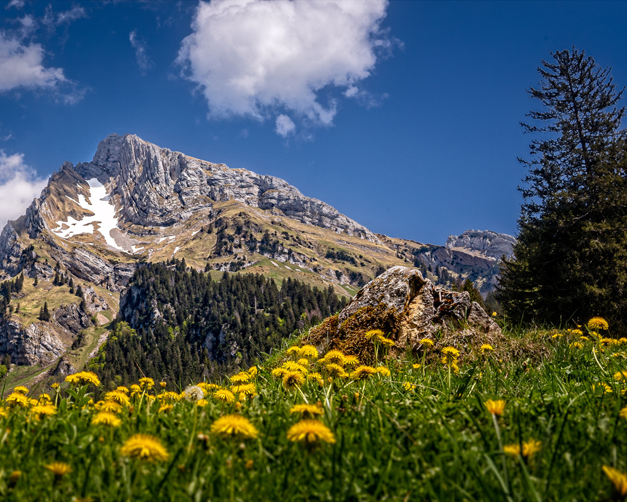 Красивая природа у подножия высокой горы под голубым небом 