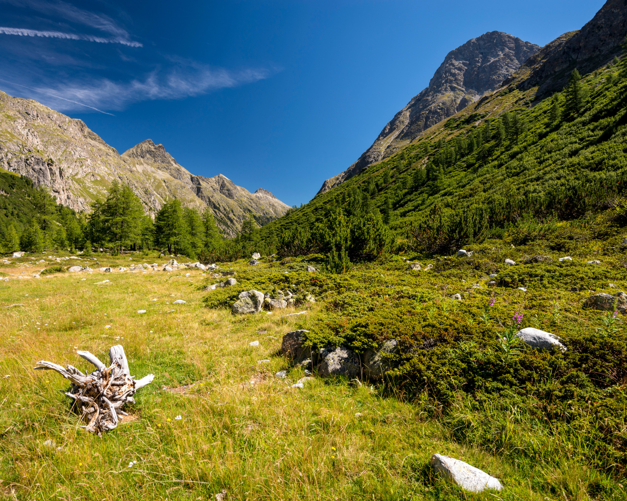 Красивый вид на покрытые зеленью горы под голубым небом