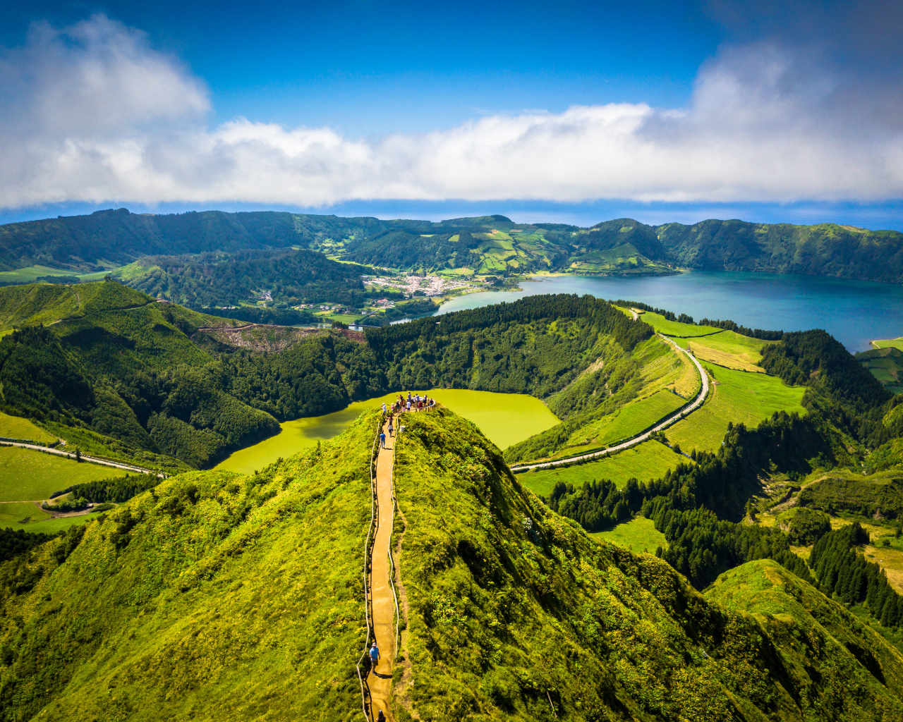 Покрытые зеленью горы в живописном фьорде 
