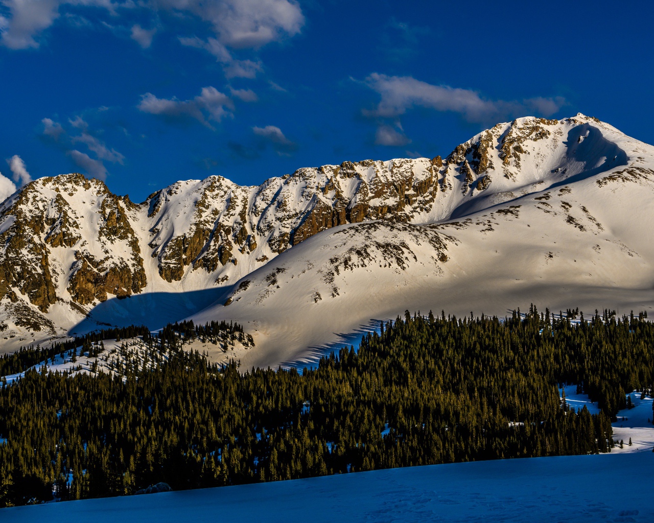 Зеленый лес на покрытых снегом горах 