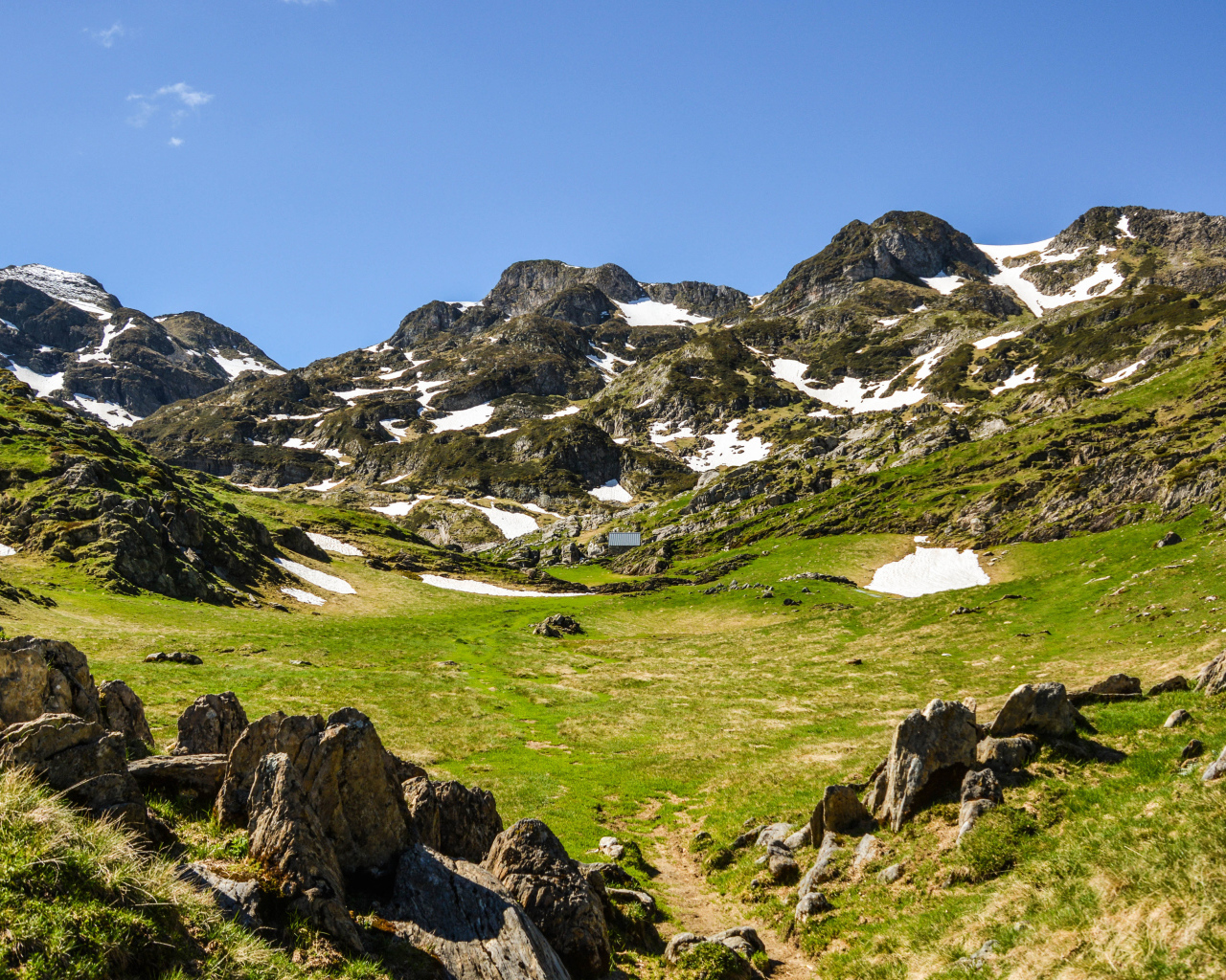 Зеленая трава у подножия заснеженных гор 