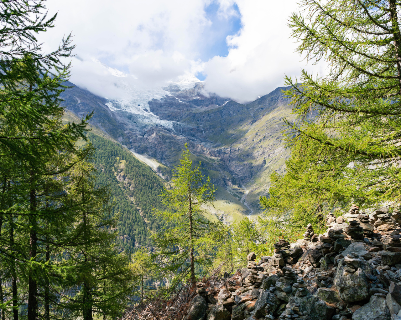 Высокие покрытые хвойным лесом горы под облачным небом 