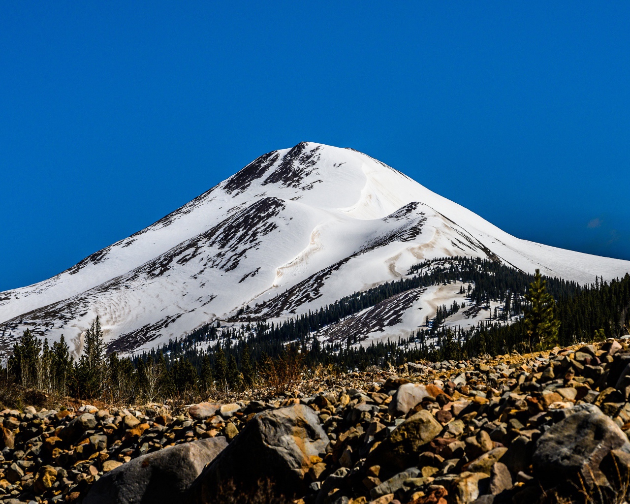 Высокая заснеженная гора под голубым небом