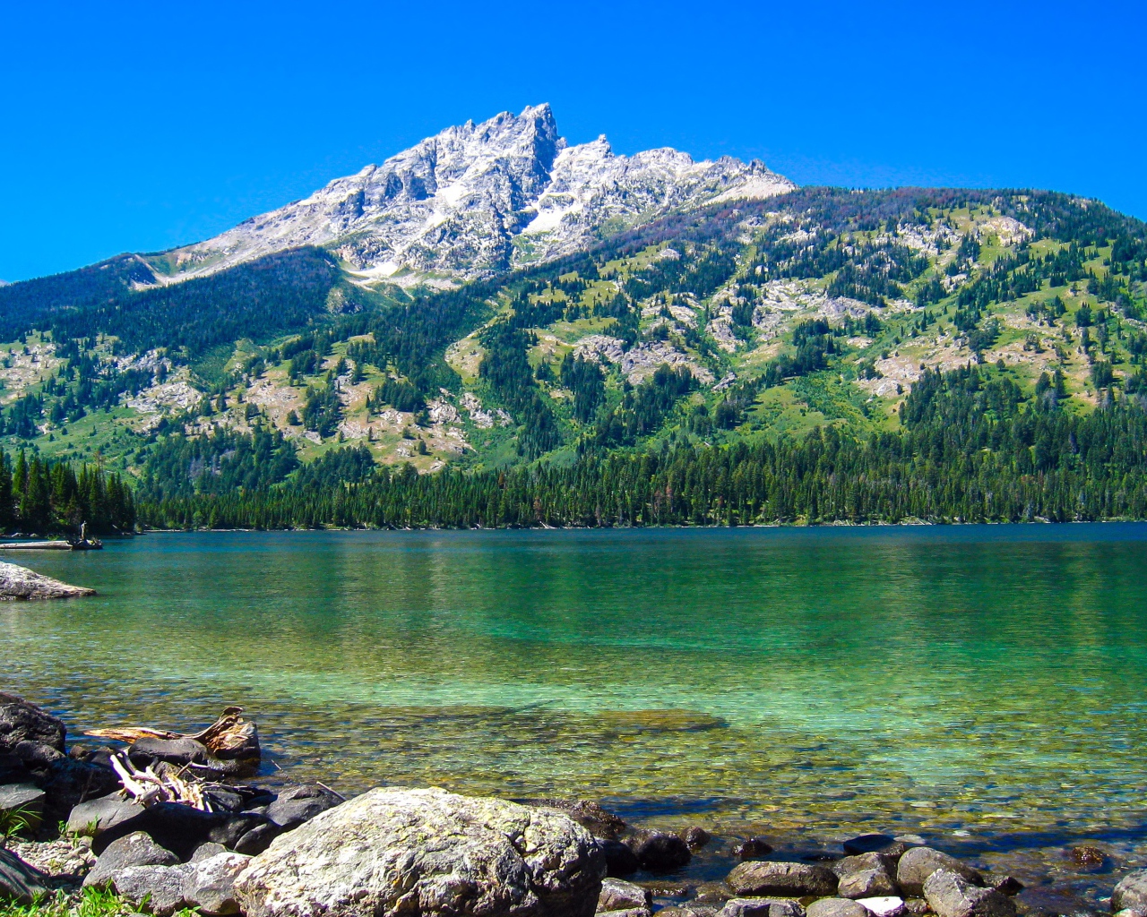 Большая покрытая растительностью  гора у озера