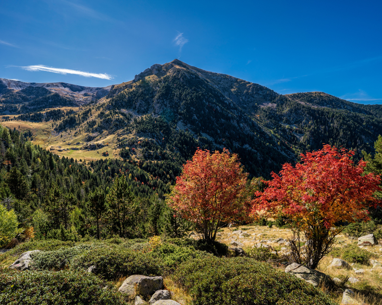Вид на гору под голубым небом