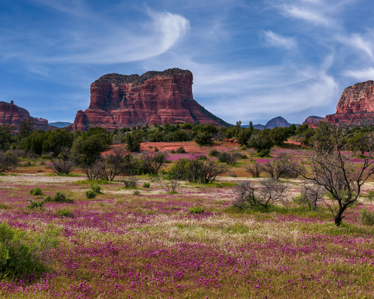Скалистые горы под красивым голубым небом, США