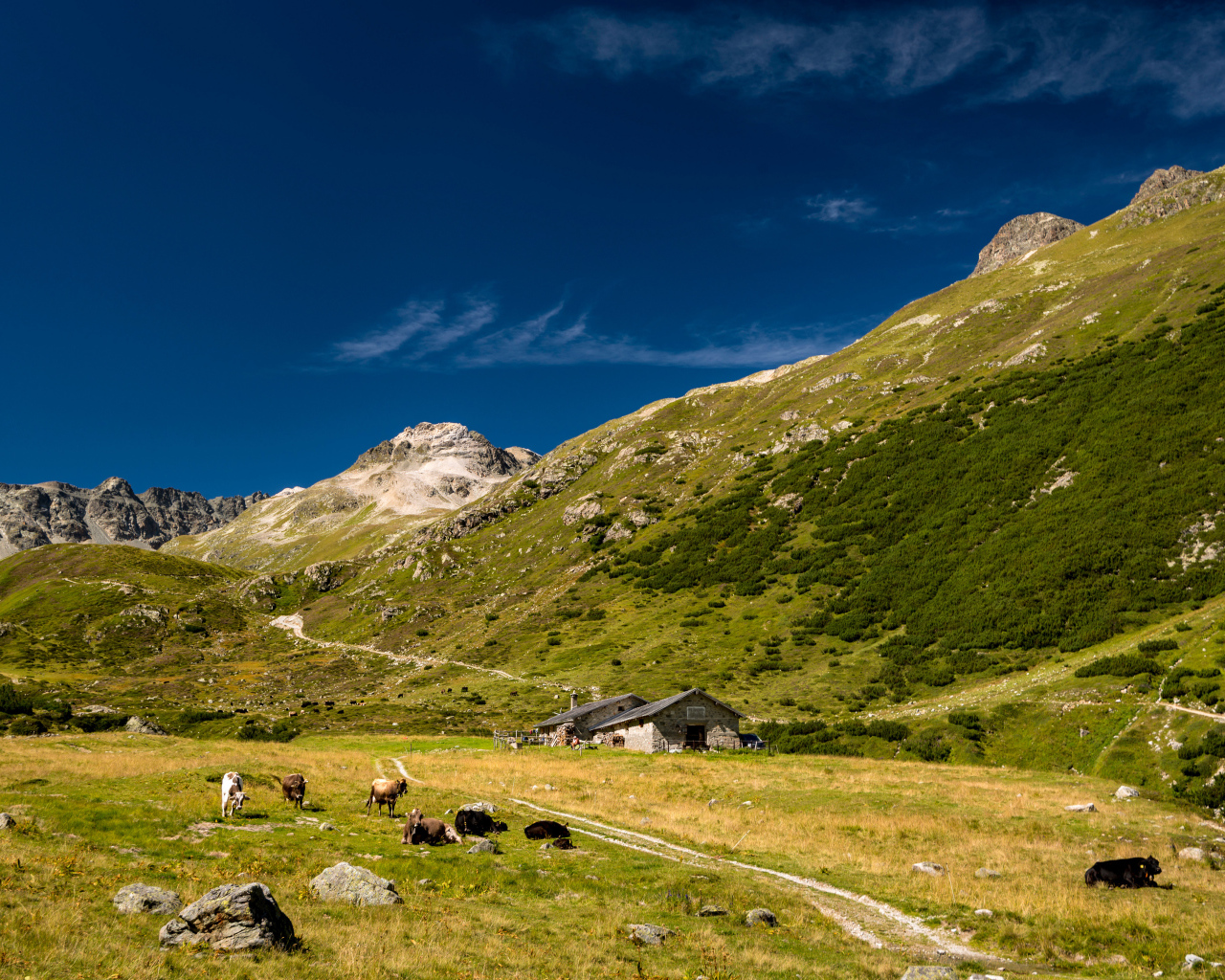 Поселение у покрытых зеленью гор под голубым небом