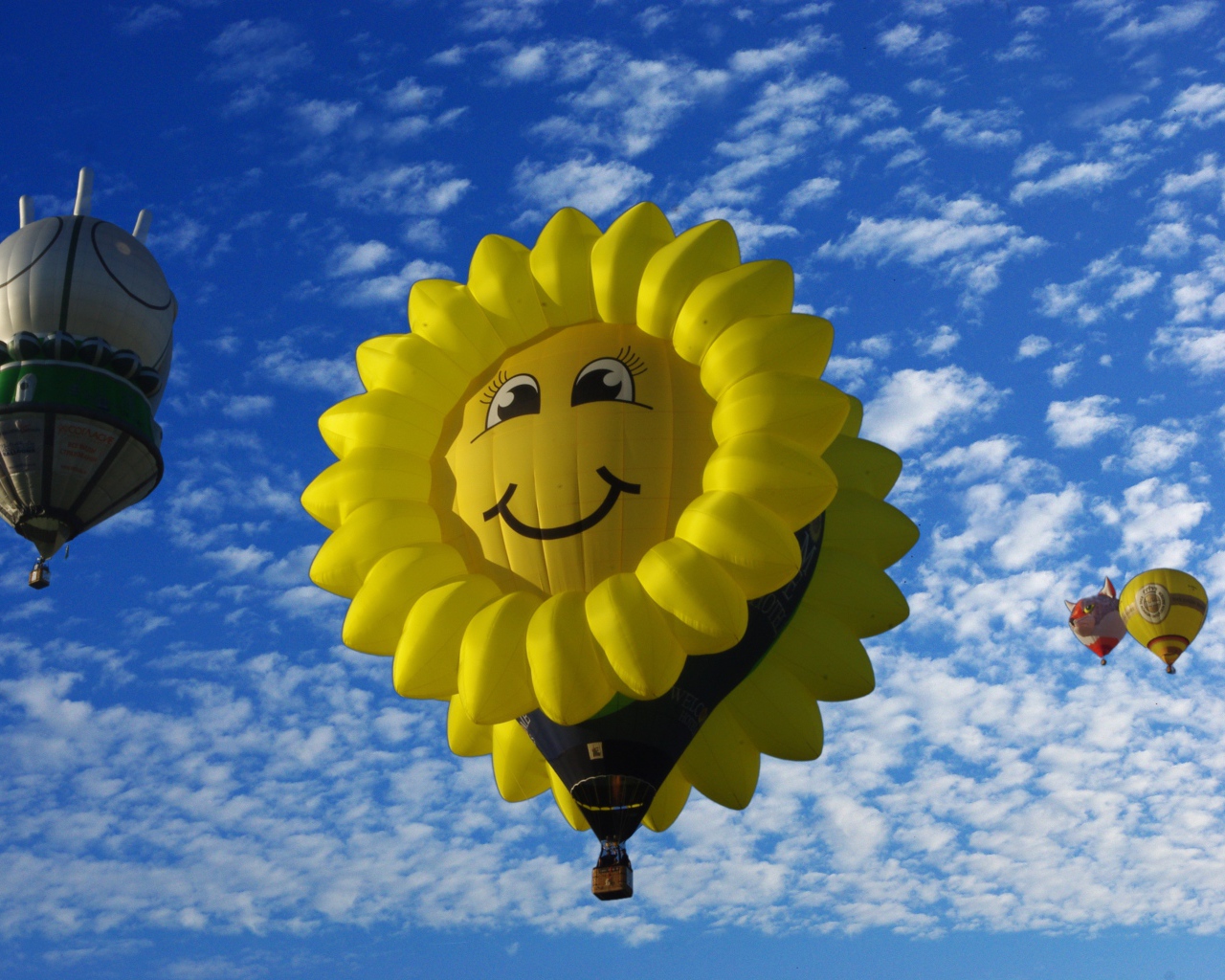 Красивые воздушные шары в голубом небе 