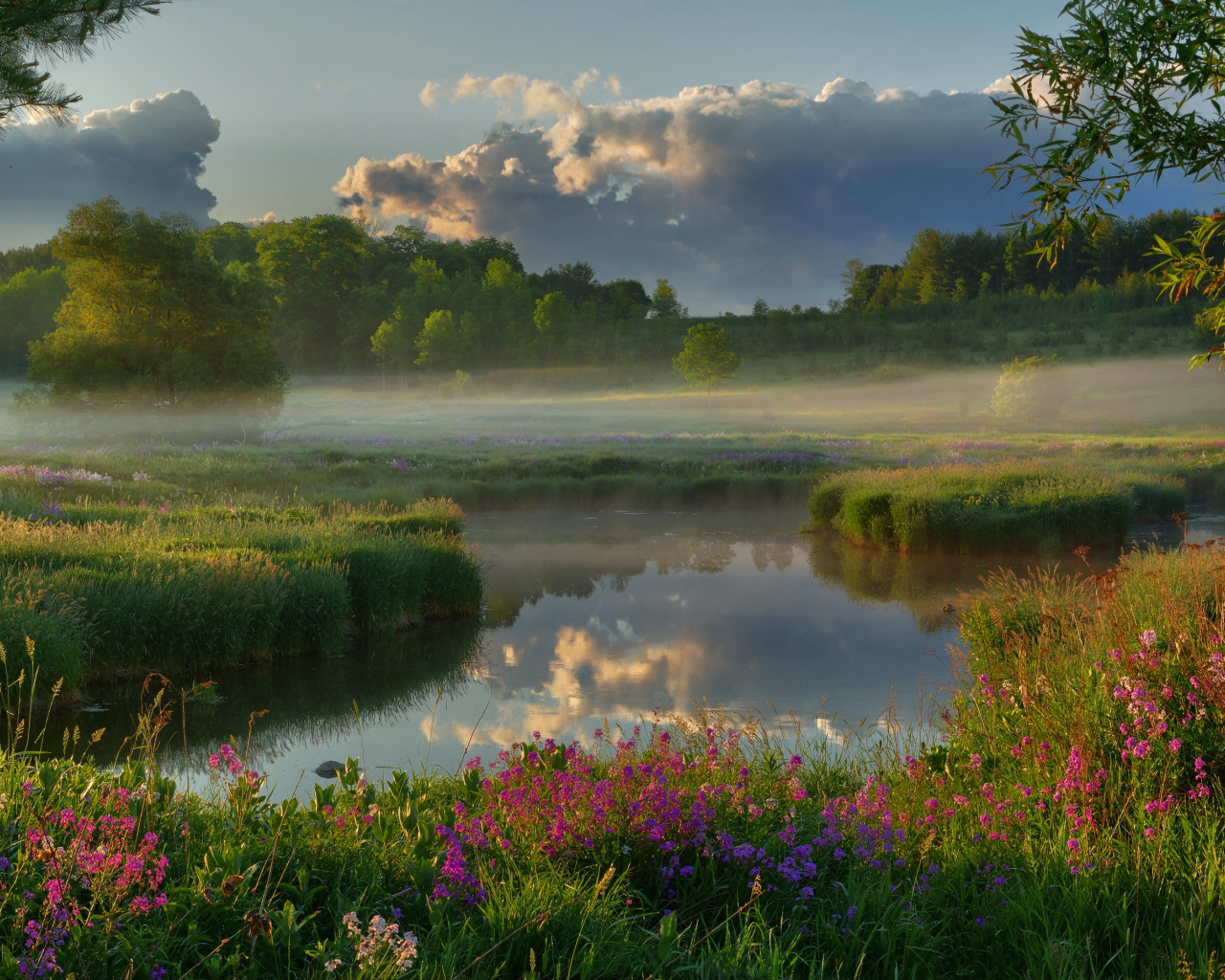 Туман над полем у реки на рассвете 
